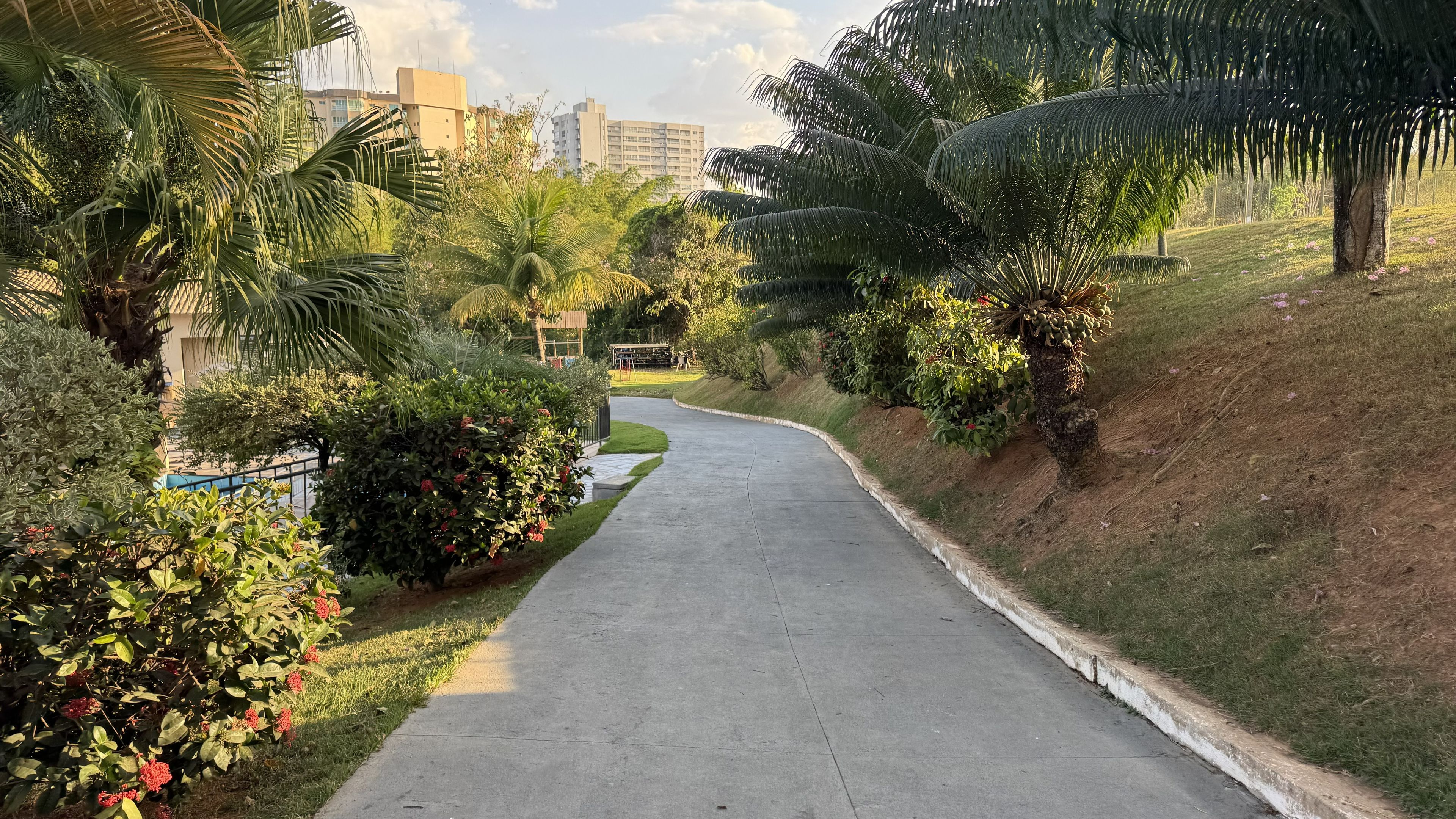 A concrete pathway flanked by lush greenery and palm trees, leading towards a residential area with buildings in the background.