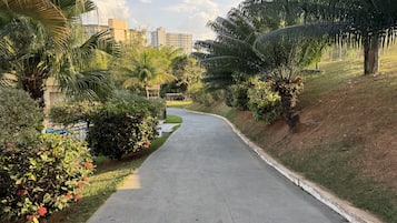 A concrete pathway flanked by lush greenery and palm trees, leading towards a residential area with buildings in the background.