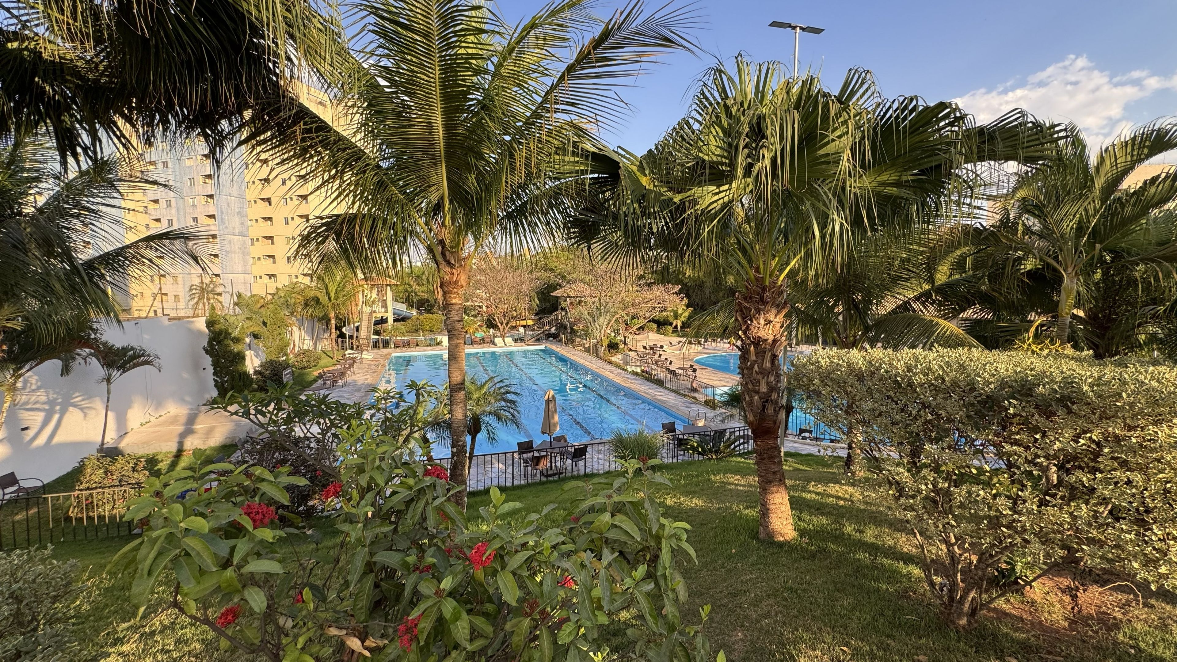A swimming pool surrounded by palm trees and greenery, with a building in the background.