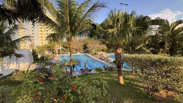 A swimming pool surrounded by palm trees and greenery, with a building in the background.