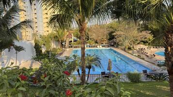 Piscina com espreguiçadeiras e uma palmeira em primeiro plano.