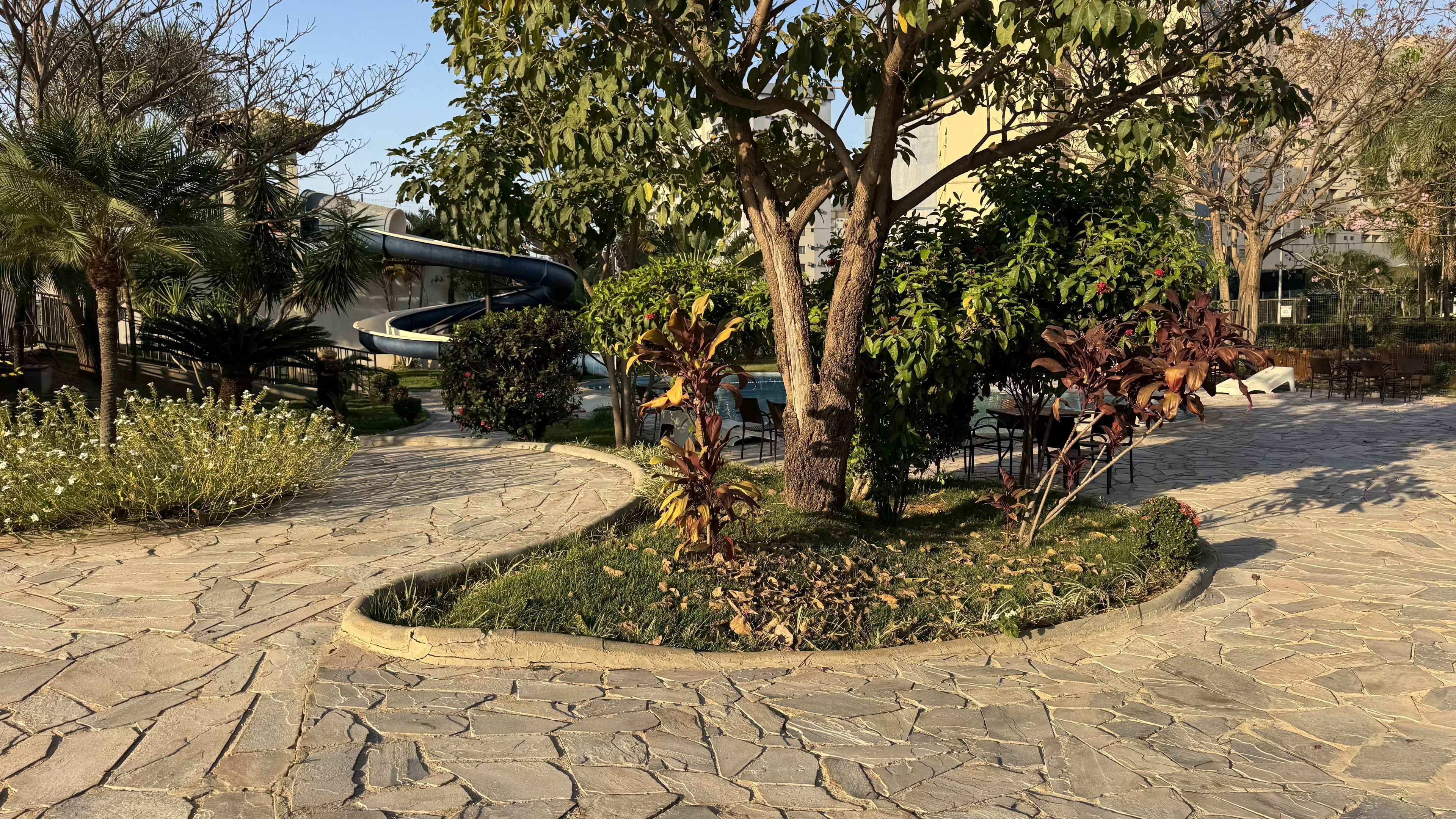 Ein gepflasterter Innenhof mit einem Baum in der Mitte, umgeben von verschiedenen Pflanzen und einer gebogenen Struktur.