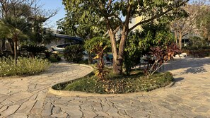 A paved courtyard with a central tree, surrounded by various plants and a curved structure. - CRCN - Caldas Novas Flat (Caldas Novas)