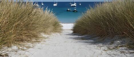 A sandy beach path leading to a calm sea with sailboats.