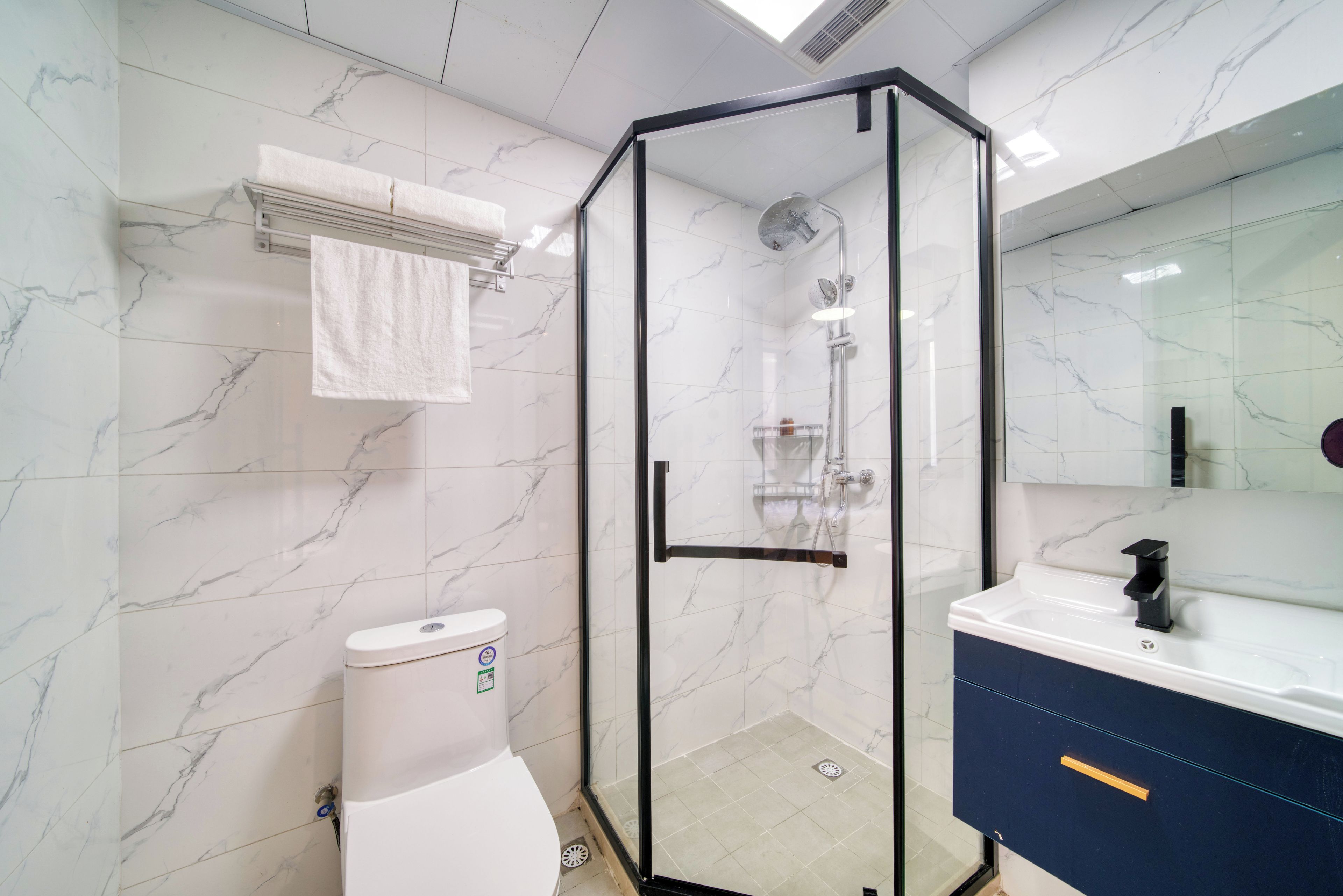 A modern bathroom with a glass-enclosed shower, a white toilet, and a dark-colored vanity with a mirror.