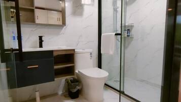 A modern bathroom with a glass-enclosed shower, a white toilet, and a vanity with a mirror.