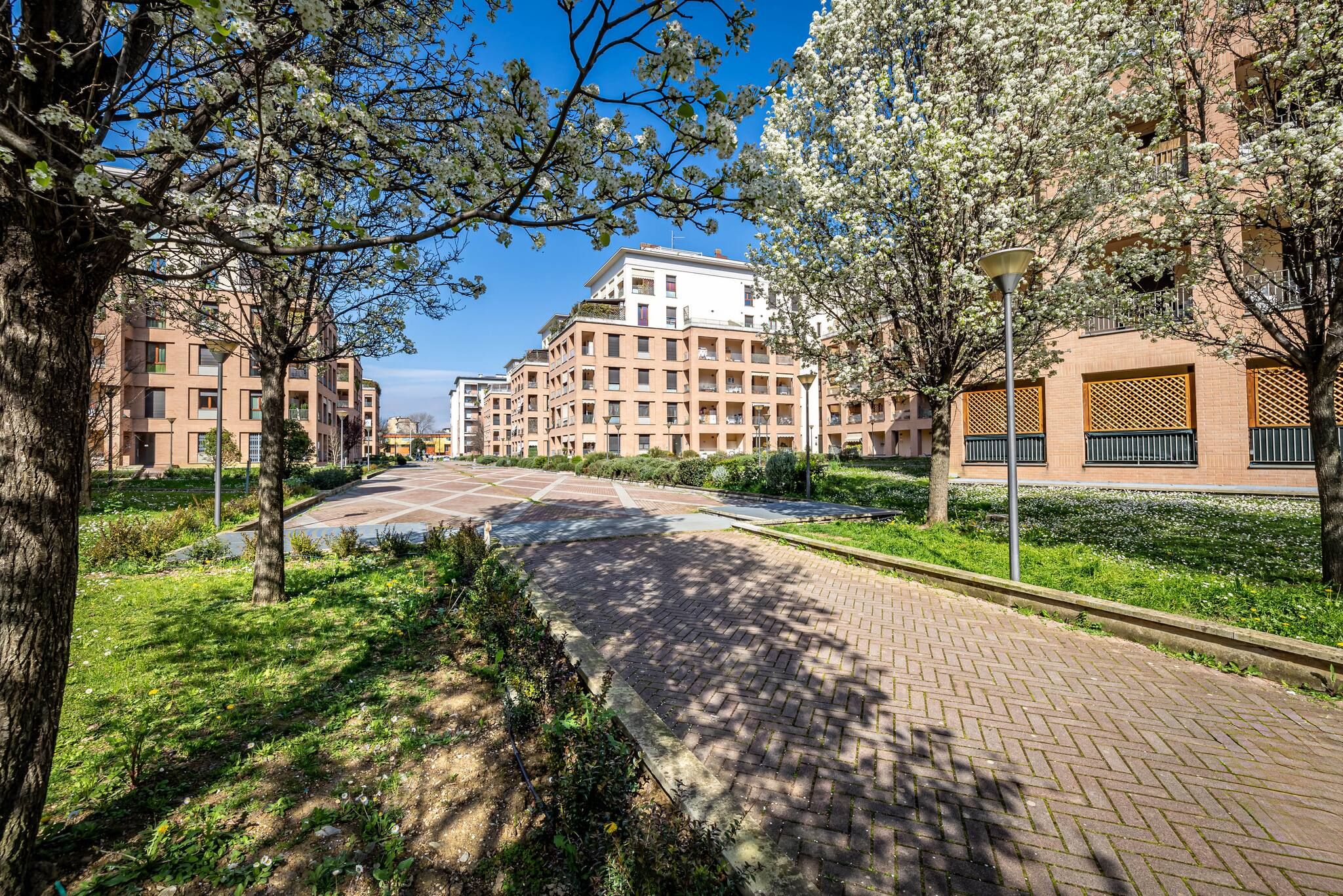 A residential area with multi-story apartment buildings, a paved pathway, and trees with white blossoms.