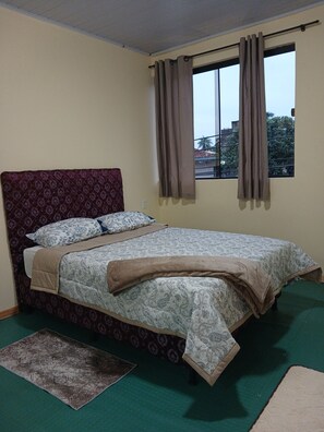 A single bed with a patterned headboard, a window with curtains, and a green carpet. - Almay estadía & tours (Ciudad del Este)