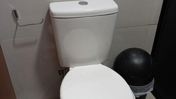 Un inodoro blanco con un cesto de basura negro a un lado, una alfombra pequeña en el suelo y un dispensador de papel higiénico fijado a la pared.