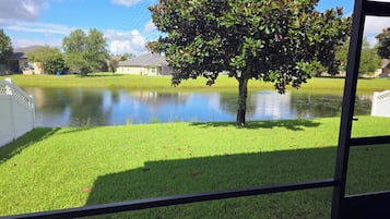 A view of a grassy area with a pond and a tree.