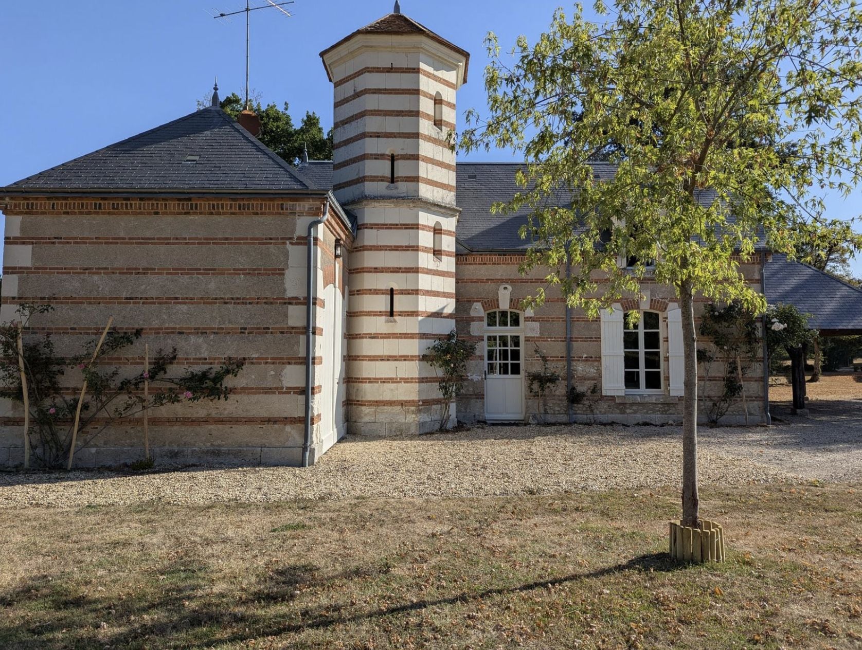 A building with a brick facade, a tower with a conical roof, and a tree in the foreground.