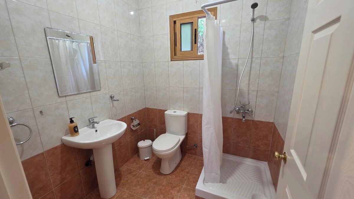 A bathroom with a sink, toilet, shower, and a mirror.