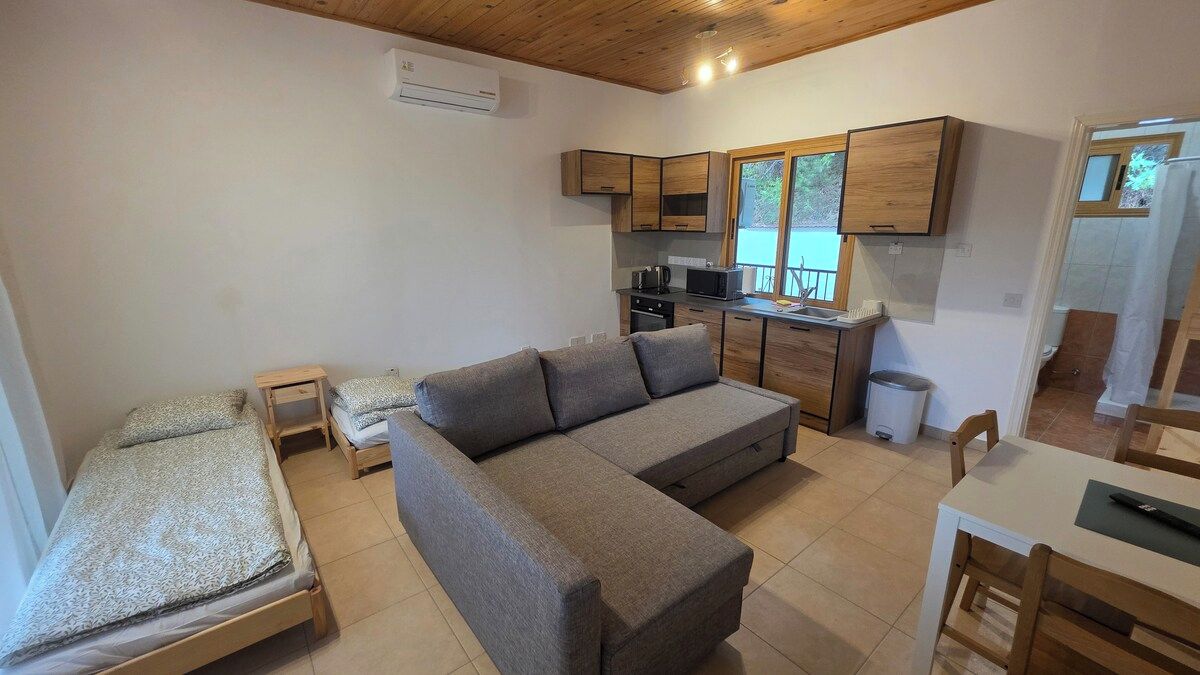 Un espacio habitable compacto con sofá, cama, kitchenette y comedor.