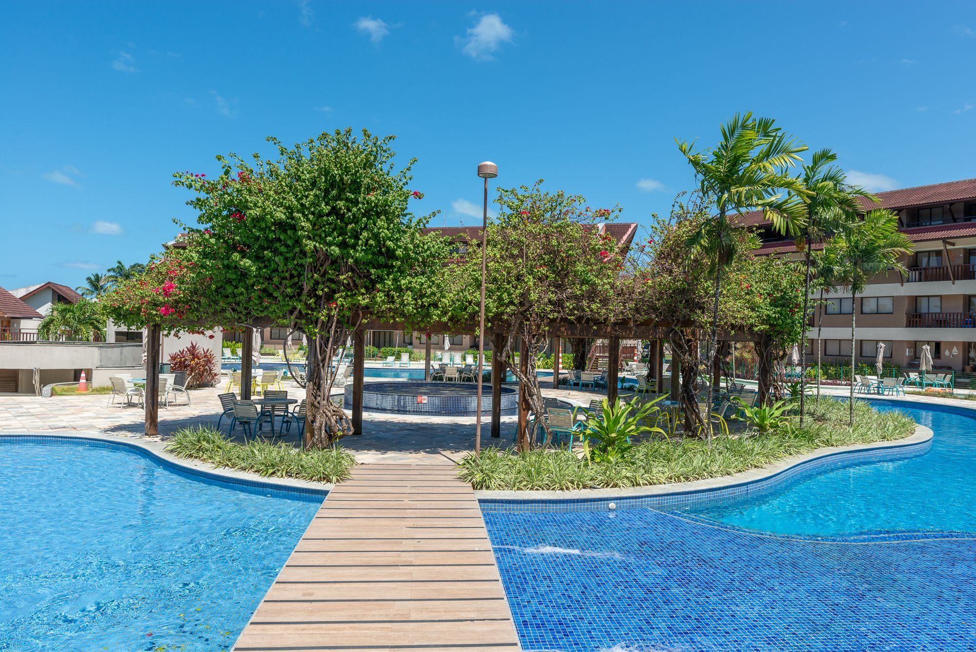 Une piscine entourée d’arbres et de chaises longues, avec une terrasse en bois.