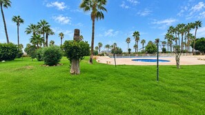 Ein gepflegter Rasen mit Palmen und einem Swimmingpool.