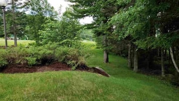 A grassy area with trees and a mound of soil.