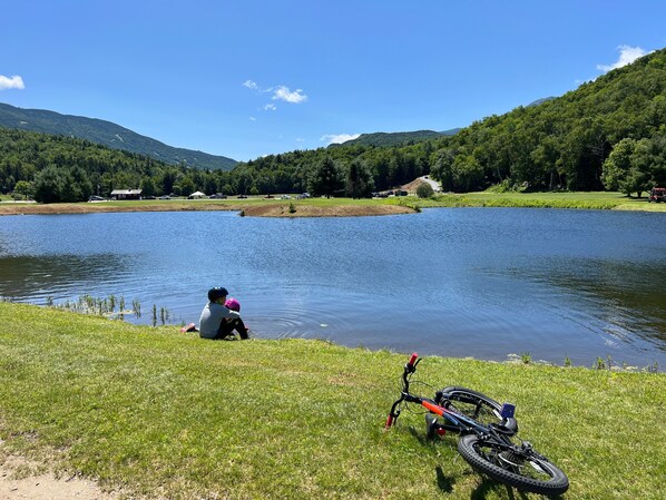 A lakeside scene with a bicycle and a person sitting by the water.