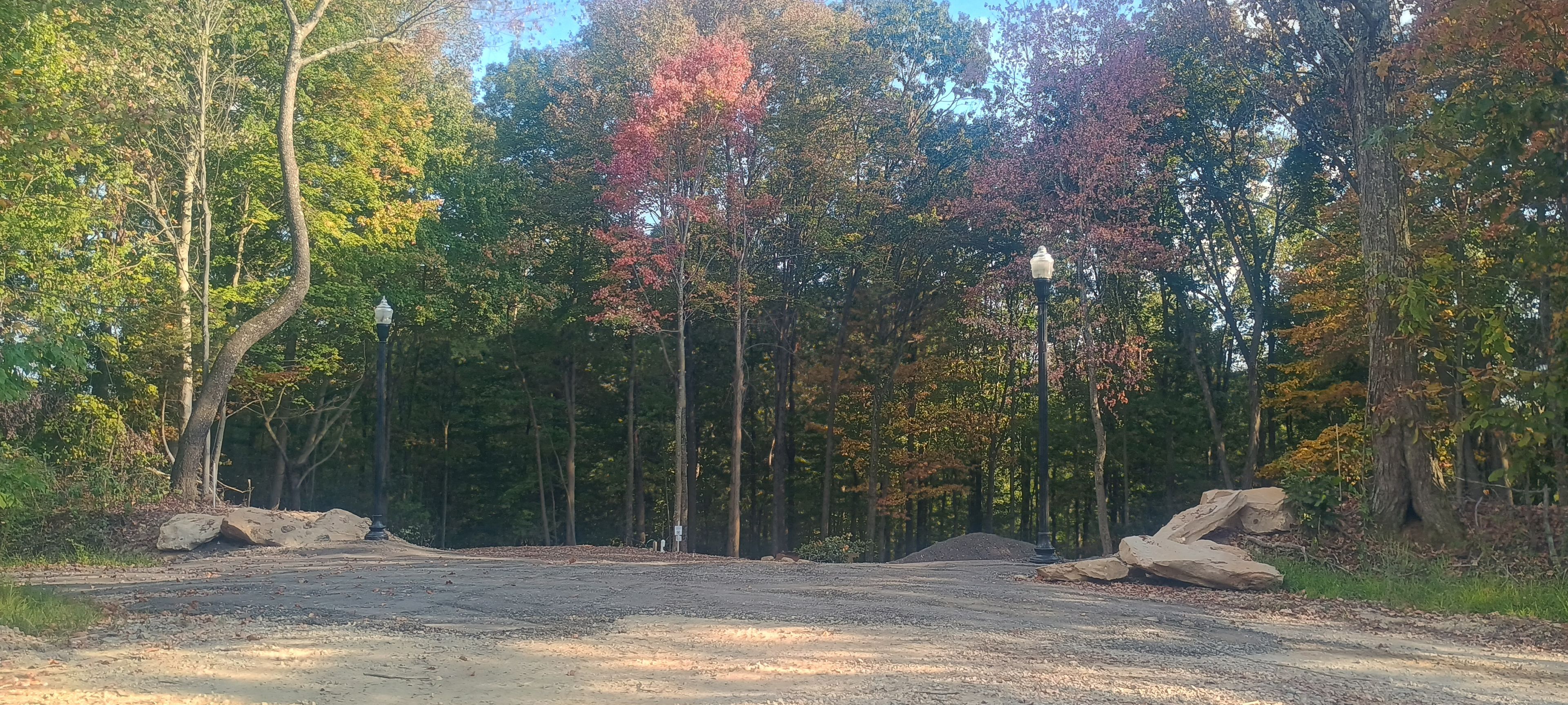 A forested area with a dirt path leading through it, surrounded by trees with autumn foliage.