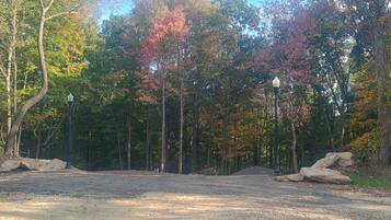 A forested area with a dirt path leading through it, surrounded by trees with autumn foliage.