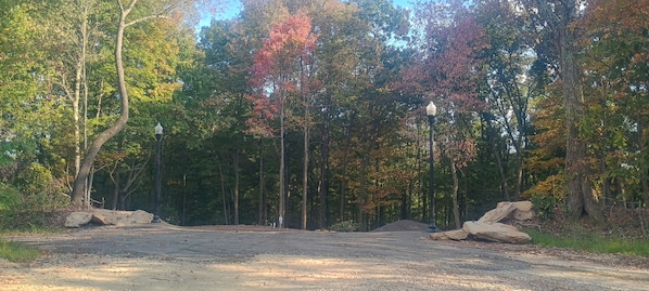 A forested area with a dirt path leading through it, surrounded by trees with autumn foliage.