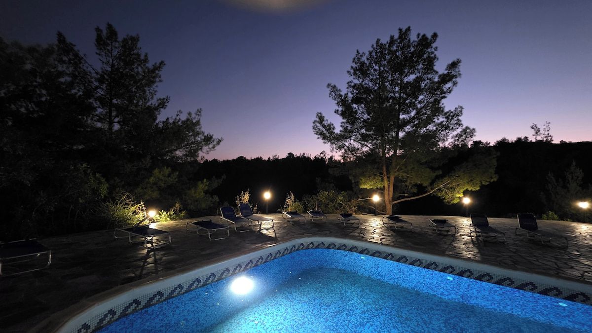 Ein Swimmingpool mit einer gefliesten Kante, umgeben von Liegestühlen und Bäumen.