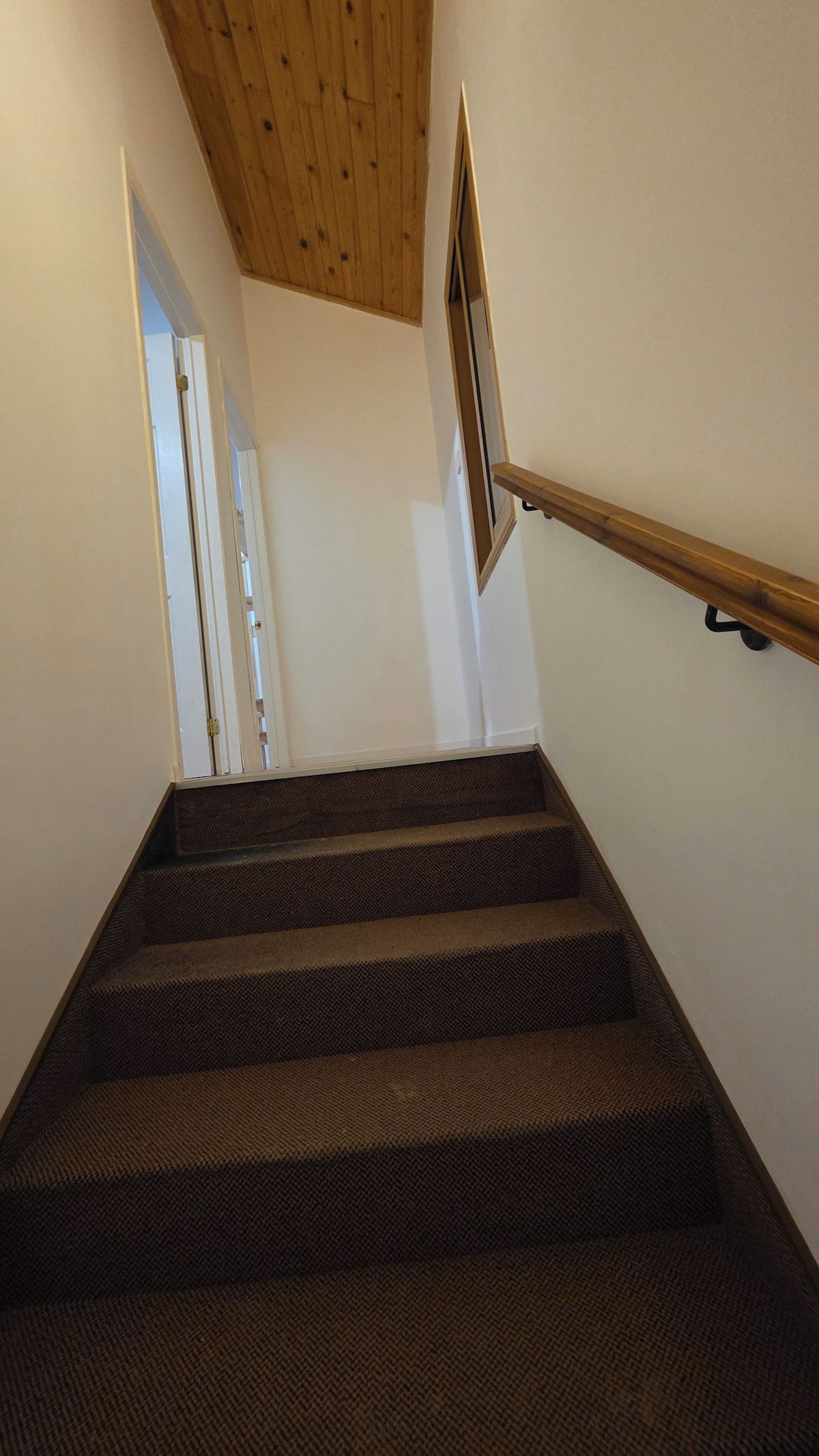 Un escalier dont les marches sont recouvertes de moquette, menant à une porte.
