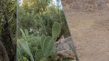 A garden with cacti and shrubs, a stone wall, and a clear sky.