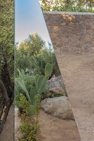 A garden with cacti and shrubs, a stone wall, and a clear sky.