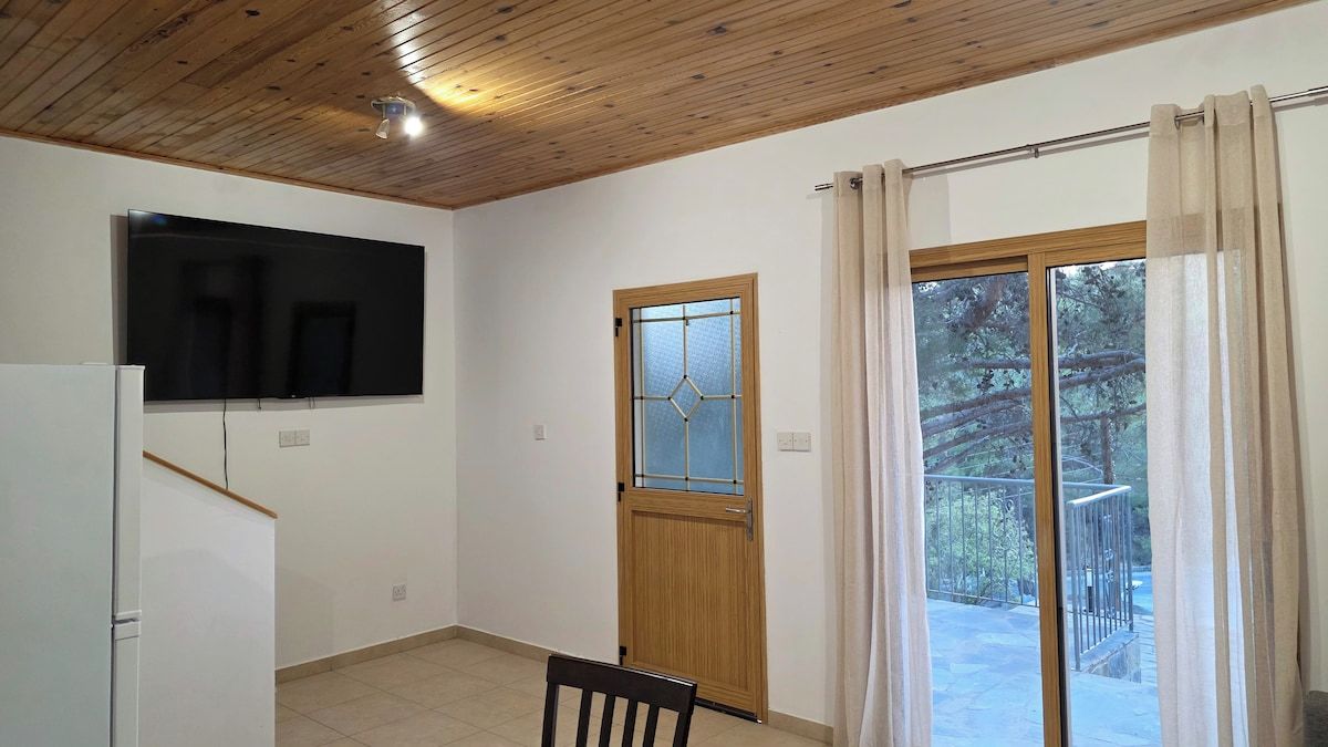 Una habitación con techo de madera, un televisor montado en la pared, una puerta con ventana y un ventanal corredero que da a un espacio exterior.
