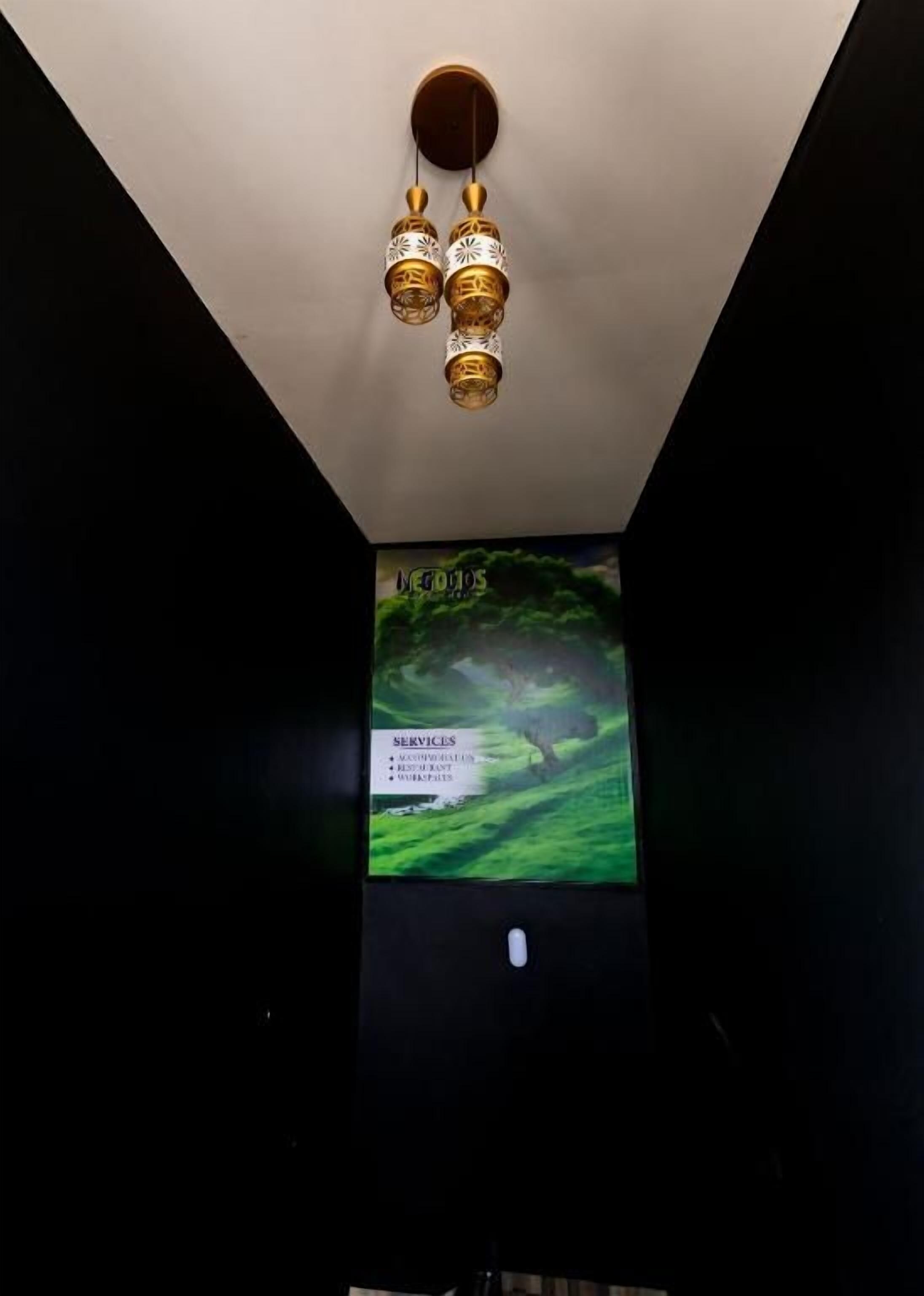 Een plafond met een decoratieve lamp en een wandgemonteerde beeldscherm waarop een natuurscène met tekst wordt getoond.