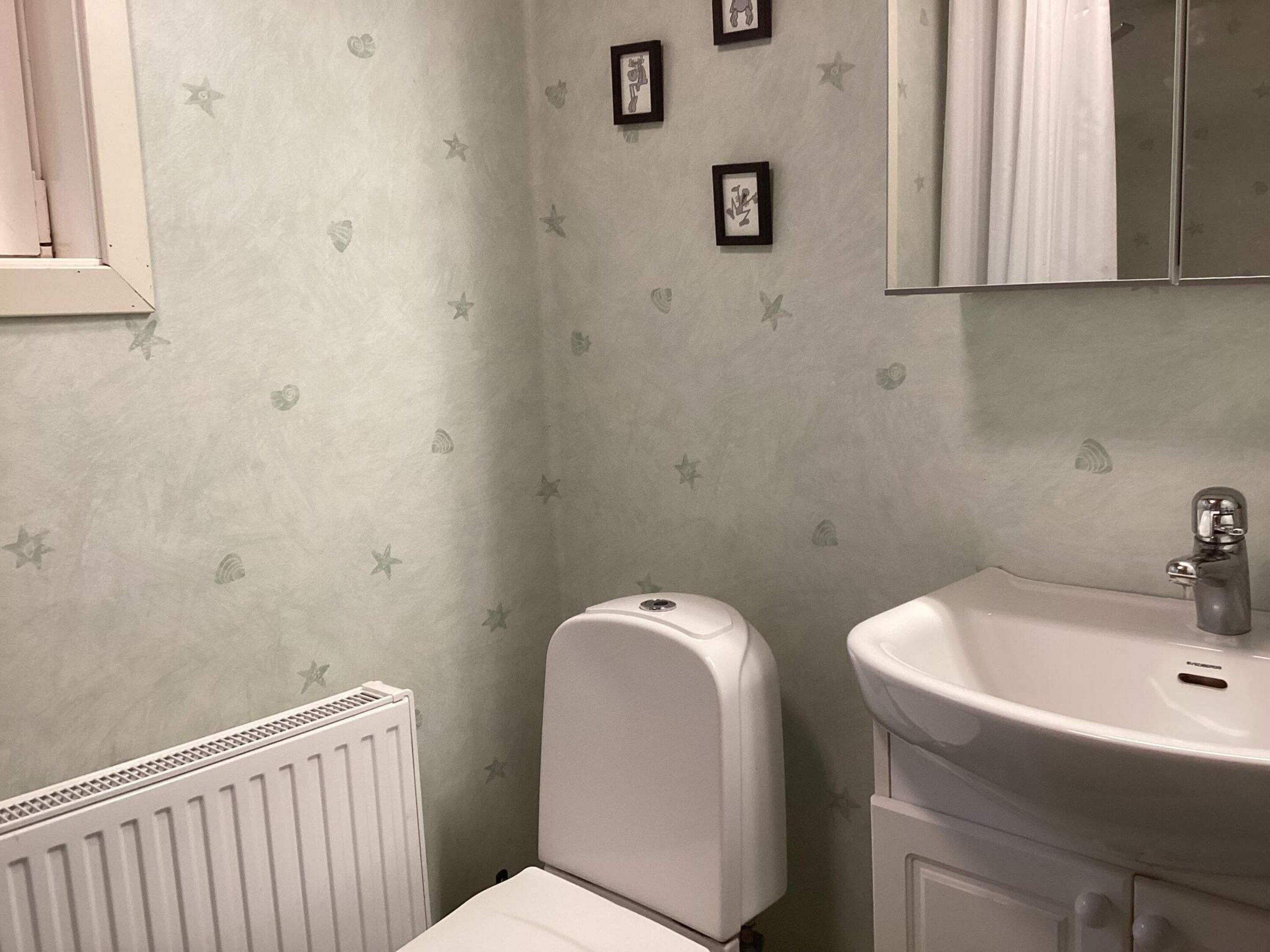 A bathroom with a white radiator, a white toilet, and a sink with a mirror above it.