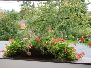 Une fenêtre avec un pot de fleurs contenant des fleurs roses.