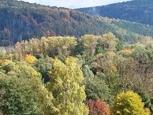 Waidmannsheil Vacation Rental: Family Vacations in the Ore Mountains—Kids and Dogs Welcome