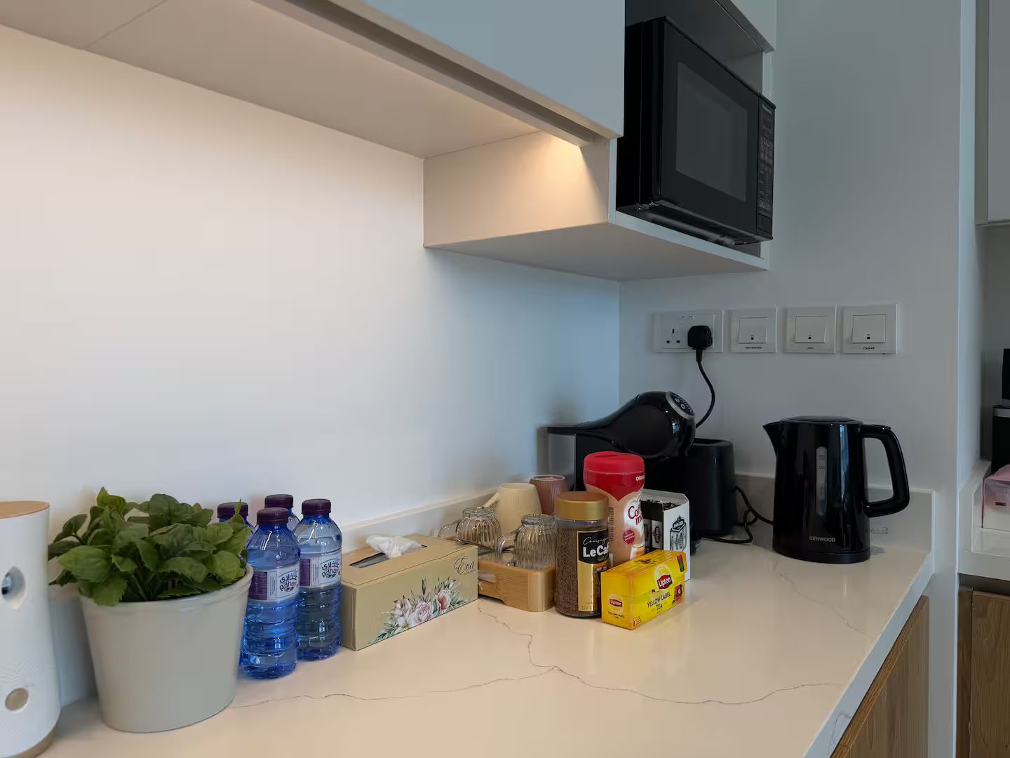 Una encimera de cocina con una planta en maceta, botellas de agua, una caja de pañuelos, una cafetera y un hervidor.