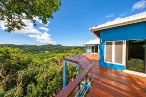 Ein modernes Gebäude mit blauer Fassade, einer Holzterrasse und Blick auf eine üppige grüne Landschaft.