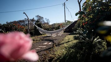 A hammock tied between trees in a garden with a clear sky.
