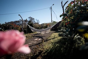 A hammock tied between trees in a garden with a clear sky.