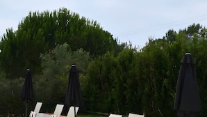 A poolside area with lounge chairs and umbrellas, surrounded by greenery. - Apartment 'Casa Oliveira' with Mountain View, Wi-Fi and Air Conditioning (Melides)