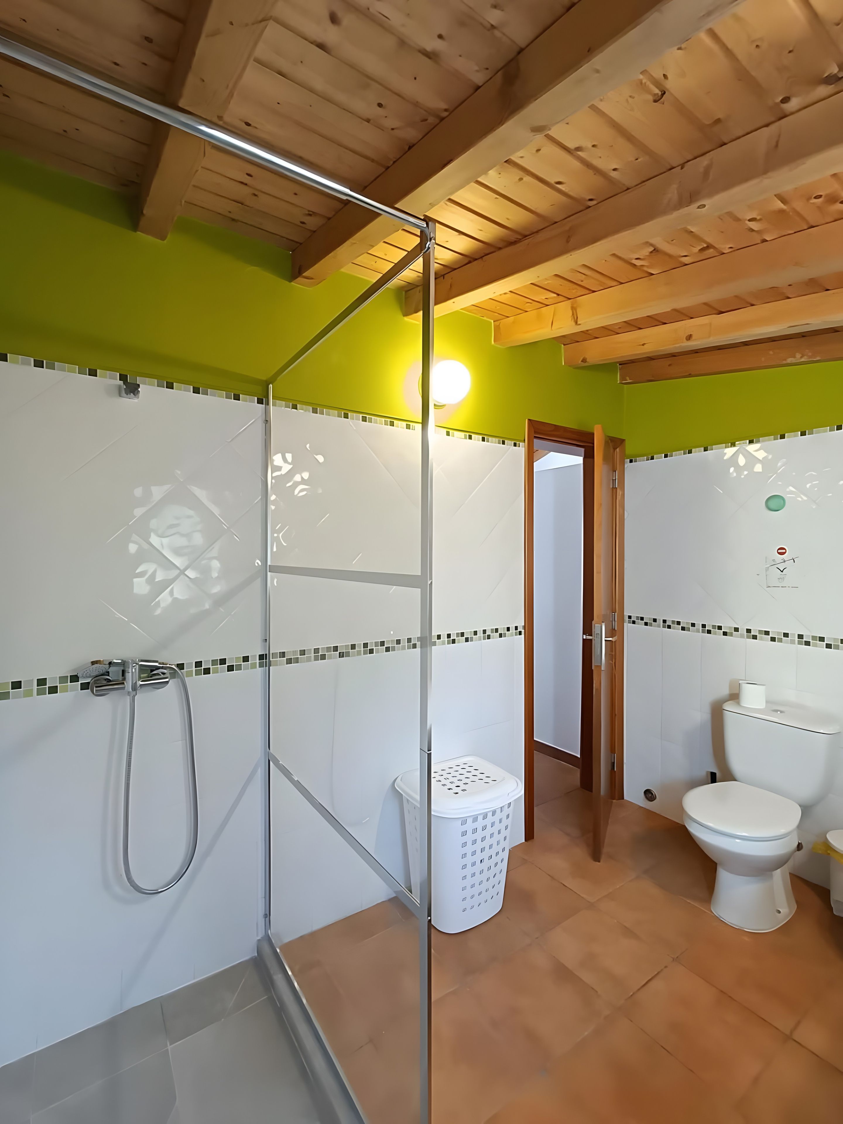 A bathroom with a shower, toilet, and a visible door leading to another room.