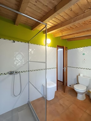 Een badkamer met een douche, toilet en een zichtbare deur naar een andere kamer.