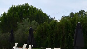 A poolside area with lounge chairs and umbrellas, surrounded by greenery. - Apartment 'Casa Laranjeira' with Mountain View, Wi-Fi and Air Conditioning (Melides)