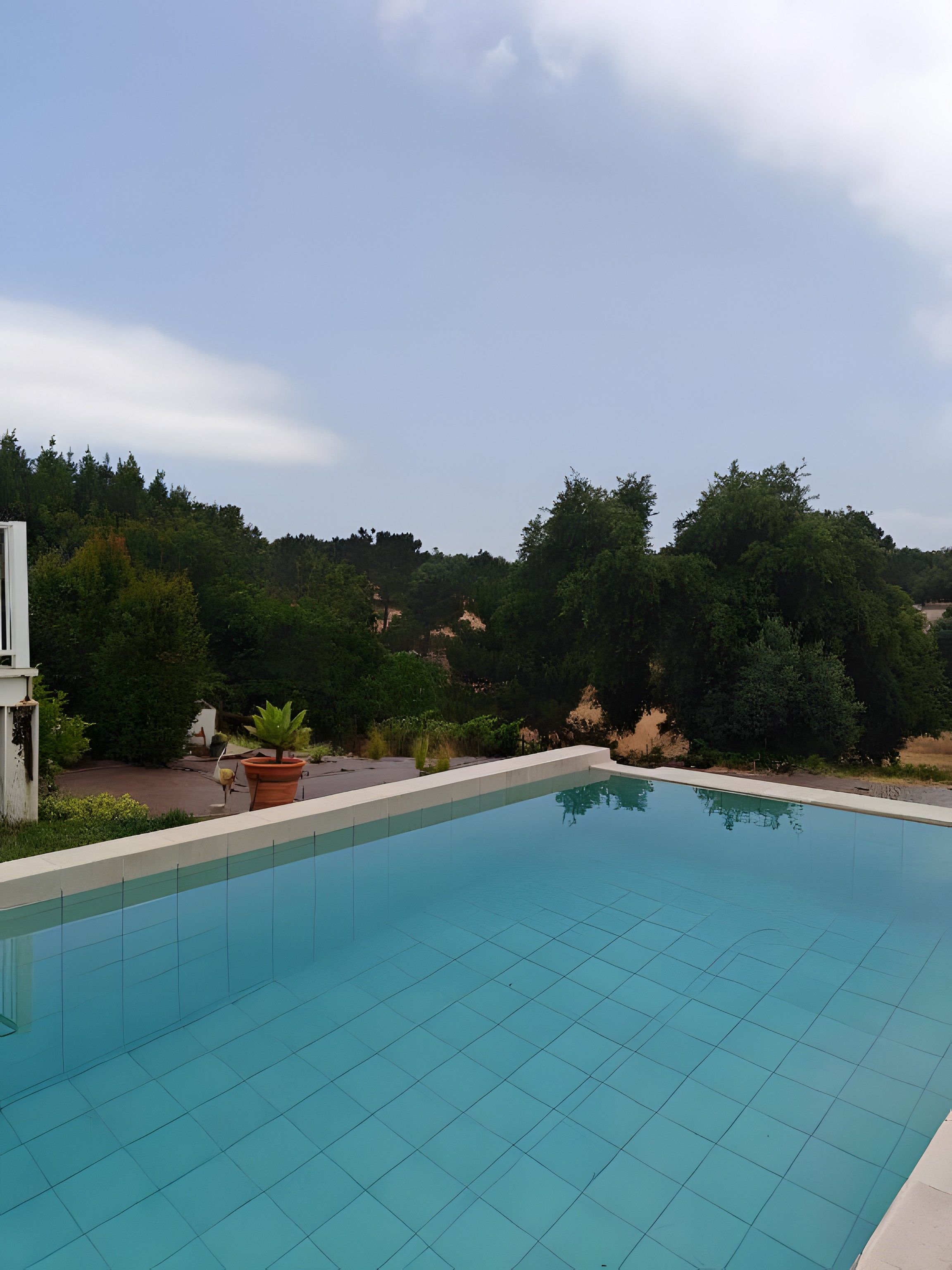 A swimming pool with a tiled deck, surrounded by greenery and trees.