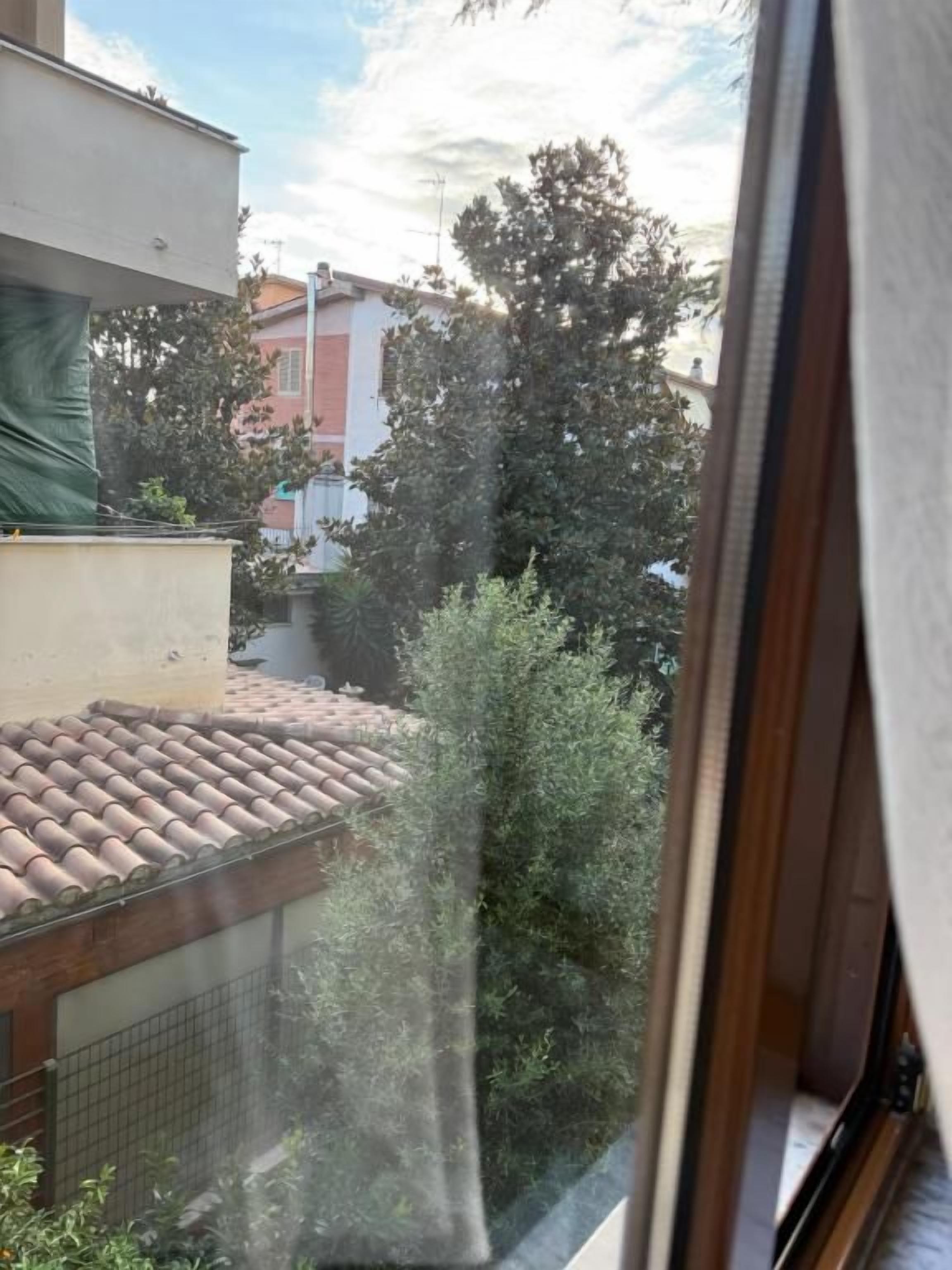 Blick durch ein Fenster auf ein Gebäude, Bäume und einen Zaun.