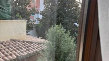 Blick durch ein Fenster auf ein Gebäude, Bäume und einen Zaun.