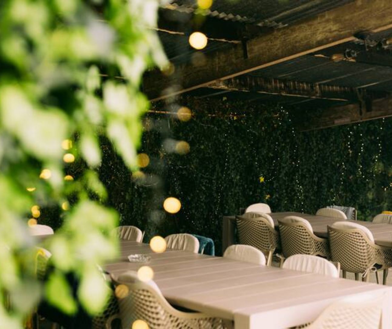 Un área de comedor al aire libre con mobiliario de mimbre y una mesa de madera, rodeada de follaje e iluminación con luces colgantes.