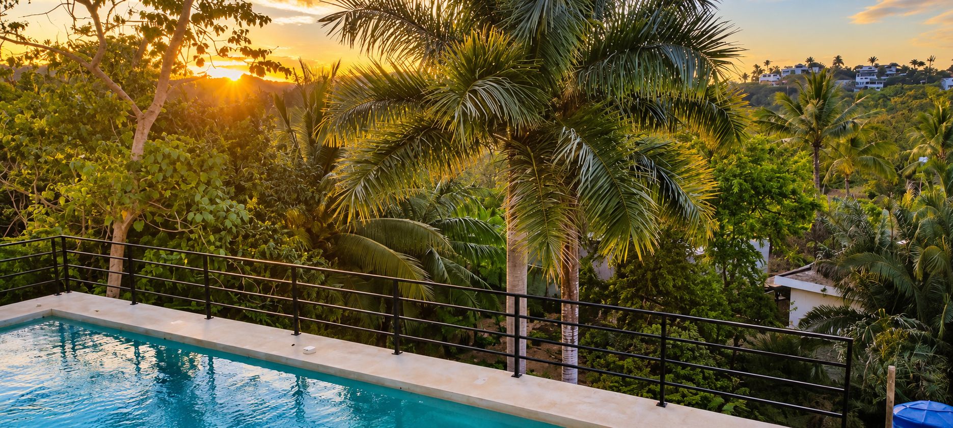 A swimming pool with a metal railing, surrounded by lush greenery and palm trees, with a sunset in the background.
