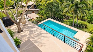 Ein rechteckiger Swimmingpool mit Metallgeländer, umgeben von einer Betonplattform und üppiger Bepflanzung, darunter Palmen und eine Hängematte.