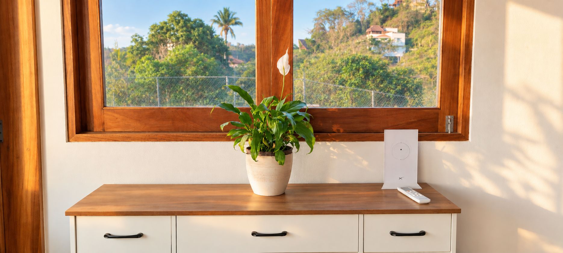 A wooden desk with a potted plant and a remote control.