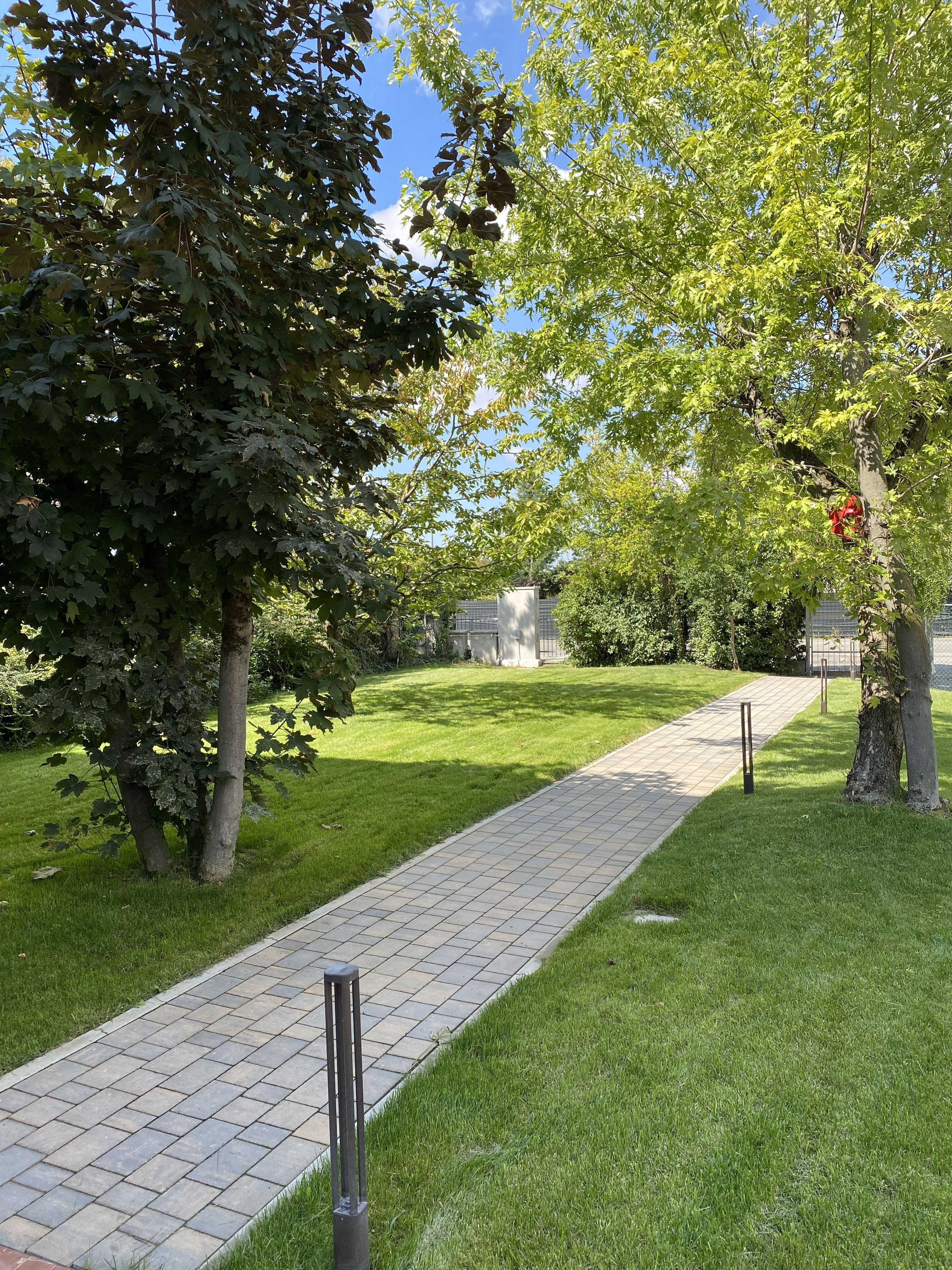 Un sentier pavé dans un parc, avec des arbres et un ciel dégagé.