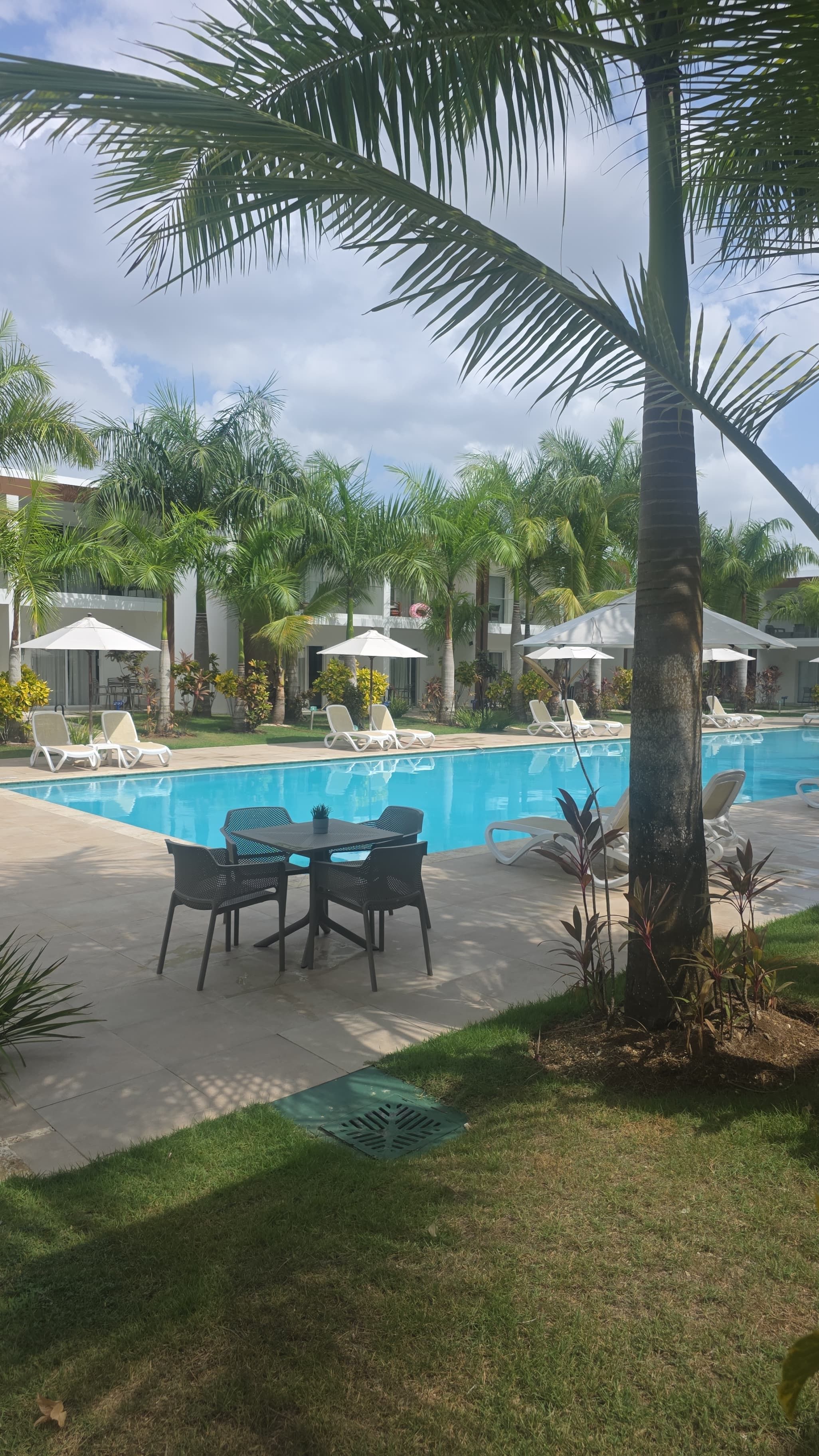 Zona de piscina con sillones de descanso y sombrillas, rodeada de palmeras y un edificio al fondo.